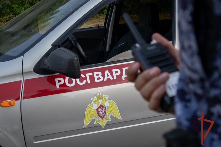 Росгвардейцы задержали похитителя кофе и сгущенки (ВИДЕО)