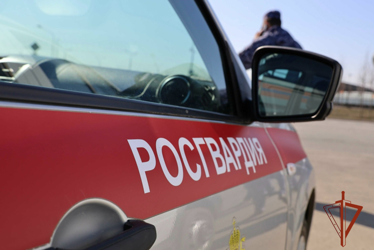 Росгвардейцы задержали злоумышленника, пытавшегося скрыться с похищенным алкоголем из охраняемой торговой точки 