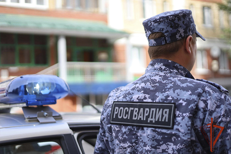 Росгвардейцы задержали серийную похитительницу крепкого алкоголя (ВИДЕО)