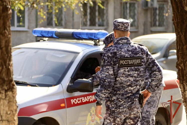 Росгвардейцы пресекли хищение из охраняемого торгового центра