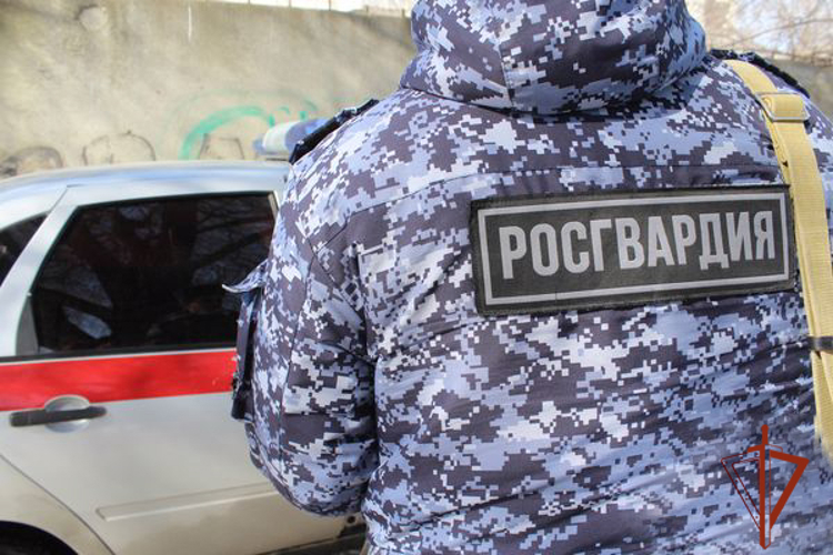 Росгвардейцы благодаря солидарности работников торговли задержали магазинного вора (ВИДЕО)