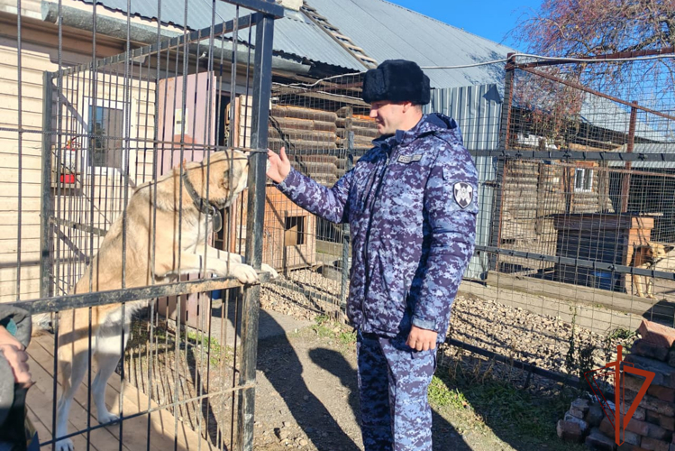 Юргинские росгвардейцы передали помощь в приют для животных