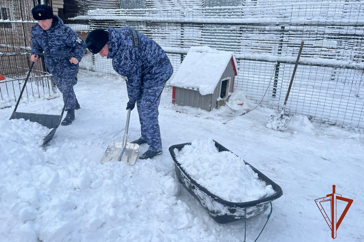 Росгвардейцы выручили юргинский приют после снегопада (ВИДЕО)