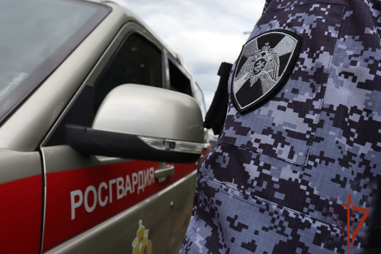 Росгвардейцы задержали предполагаемого виновника в повреждении имущества в городской больнице