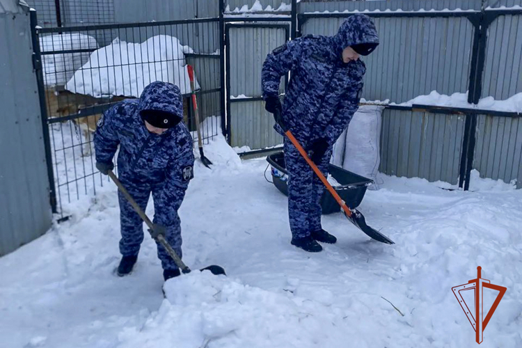 Юргинские росгвардейцы продолжают оказывать помощь при устранении последствий снегопада (ВИДЕО)