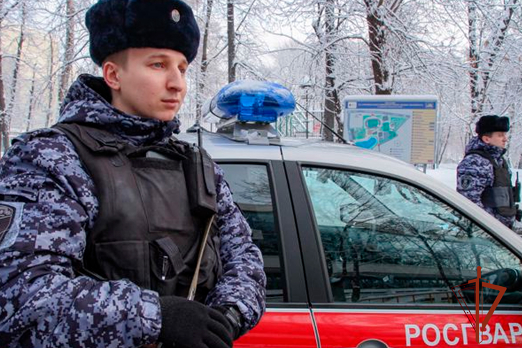 Росгвардейцы задержали женщину, повредившую дверь в квартире соседки