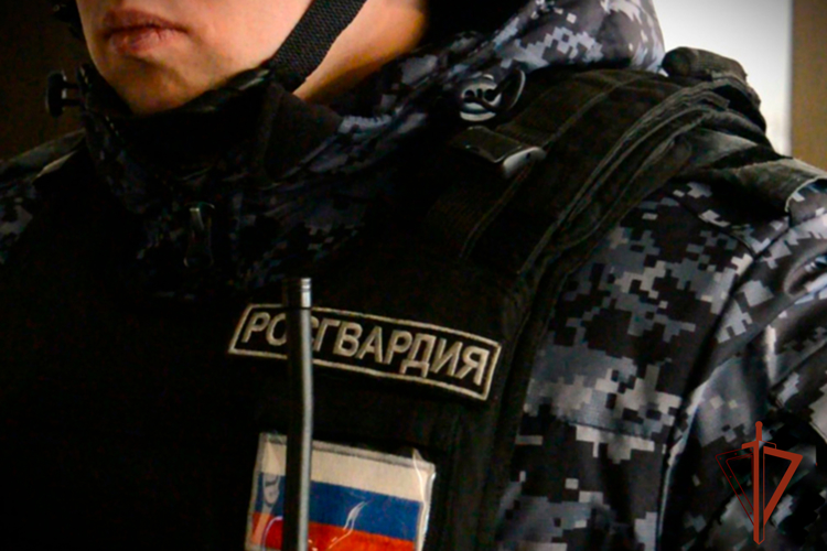 Росгвардейцы задержали предполагаемого виновника в совершении насилия