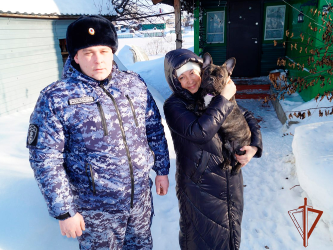 Росгвардеец помог вернуть пропавшего французского бульдога по кличке Лео (ВИДЕО)