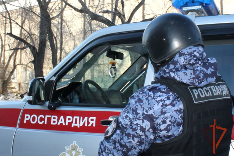 Росгвардейцы задержали мужчину, который вместо оплаты за проезд повредил автомобиль такси 