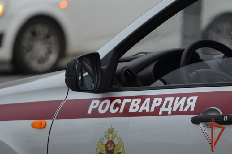 Росгвардейцы пресекли хищение детского товара из охраняемого гипермаркета (ВИДЕО)