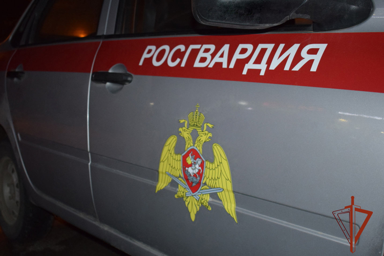 Росгвардейцы задержали разыскиваемого за двойное хищение продуктов питания злоумышленника (ВИДЕО)