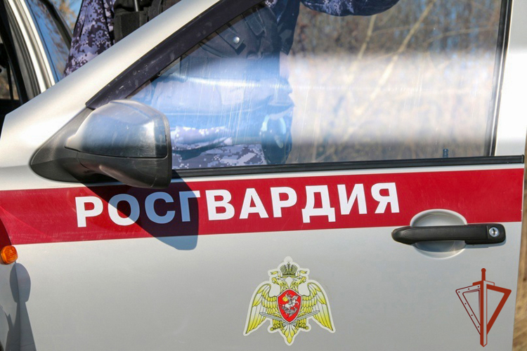 Росгвардейцы задержали похитительницу электроинструментов и продуктов питания (ВИДЕО)