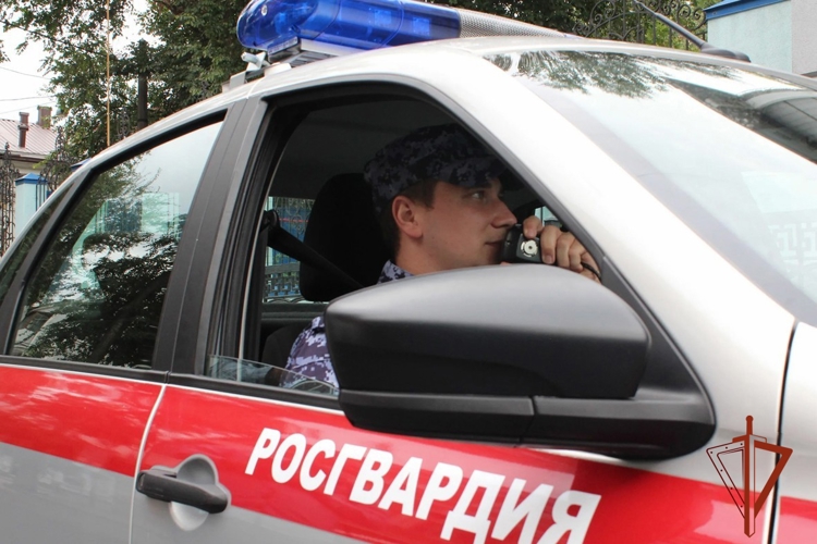 Росгвардейцы задержали разыскиваемого по подозрению в краже из торговой точки (ВИДЕО)