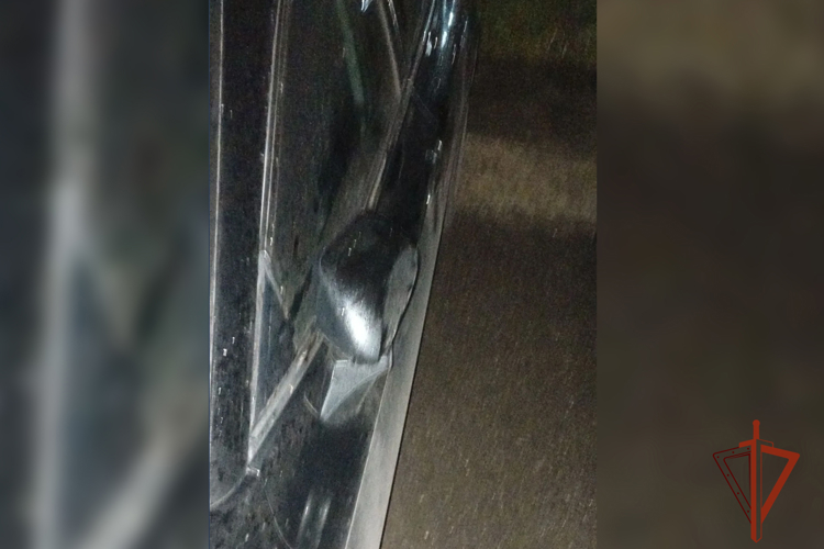 Росгвардейцы задержали женщину, повредившую автомобиль новокузнечанина