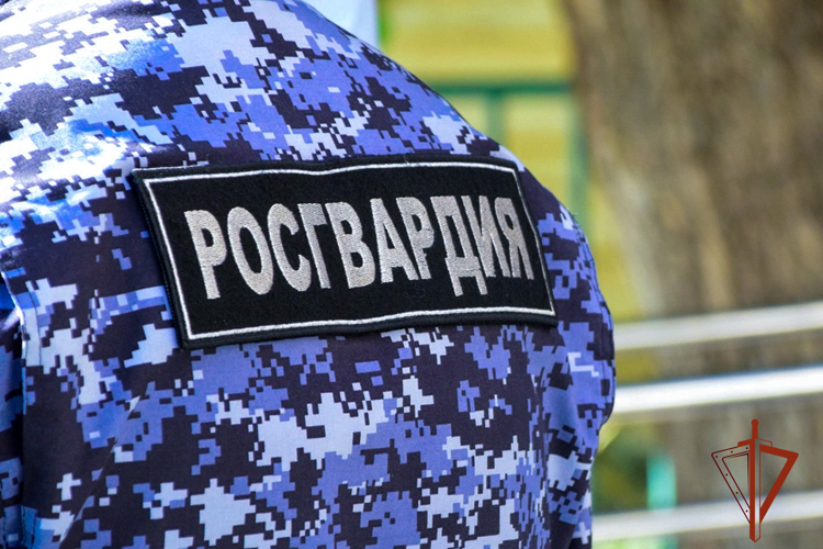 Росгвардейцы задержали кемеровчанина за хищение товара из строительного гипермаркета (ВИДЕО)