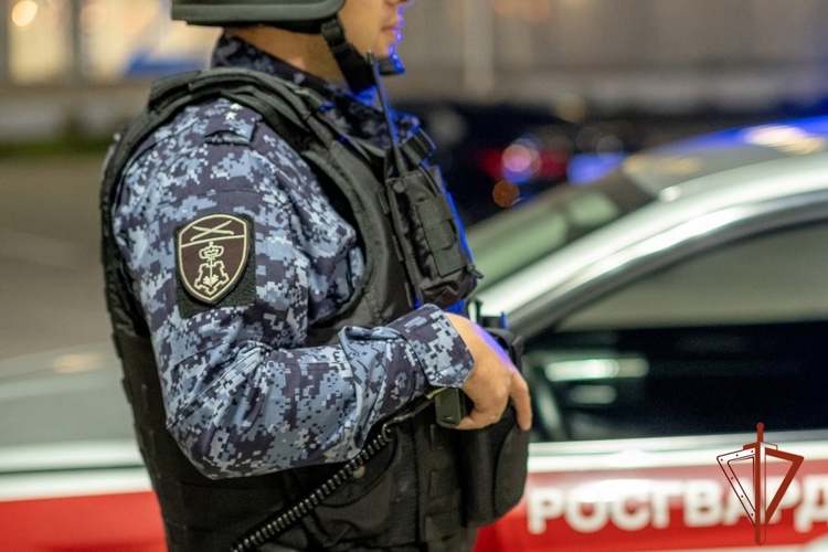 Росгвардейцы задержали мужчину, проникшего в квартиру через разбитое окно