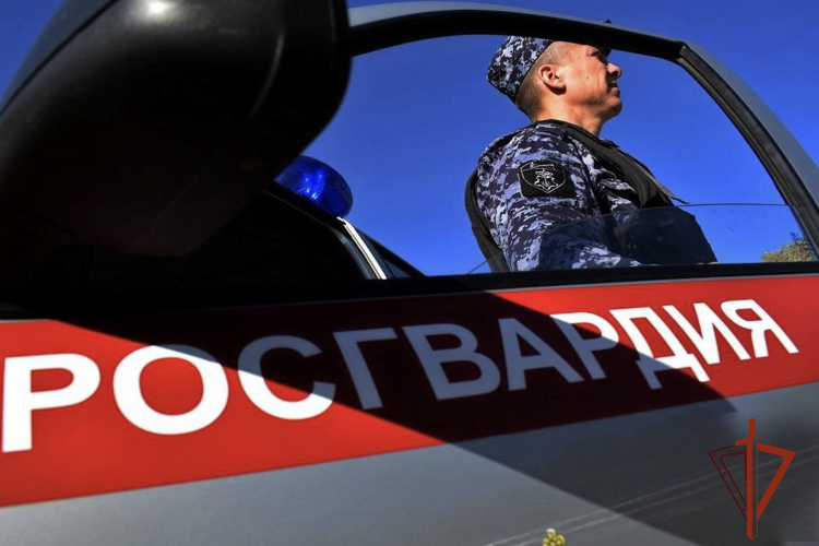 Росгвардейцы задержали злоумышленницу, которая ударила родственницу в нос головой из-за денежного долга