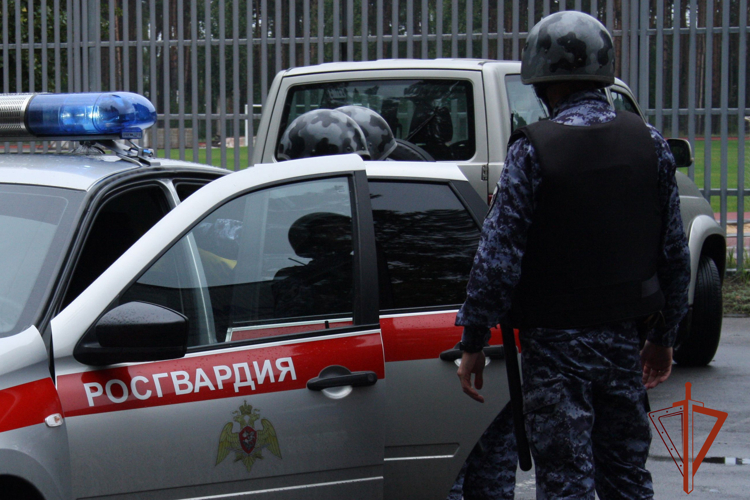 Росгвардейцы задержали мужчину, запустившего табуретом в родственницу за замечание о пьянстве