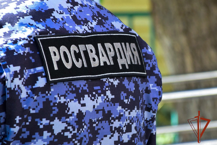 Росгвардейцы задержали мужчину, похитившего продукты питания из киселевского магазина (ВИДЕО)