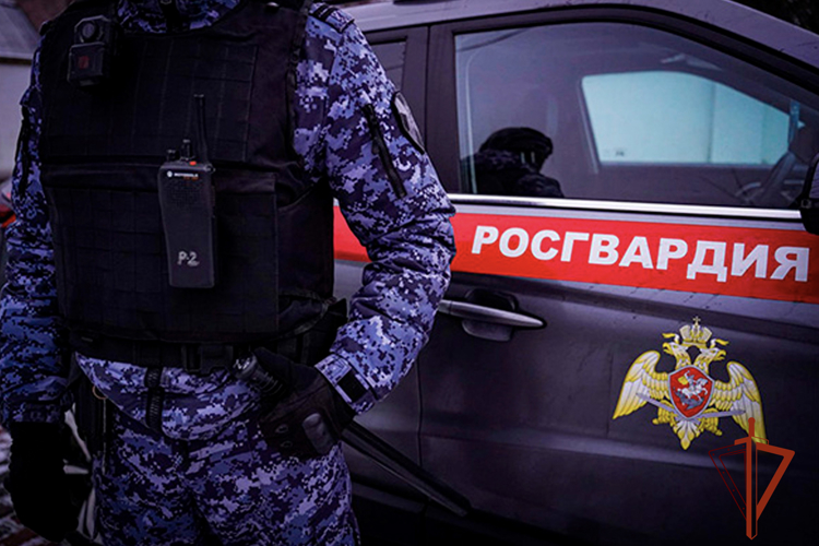 Росгвардейцы задержали междуреченца, причинившего травму женщине во время бытового конфликта