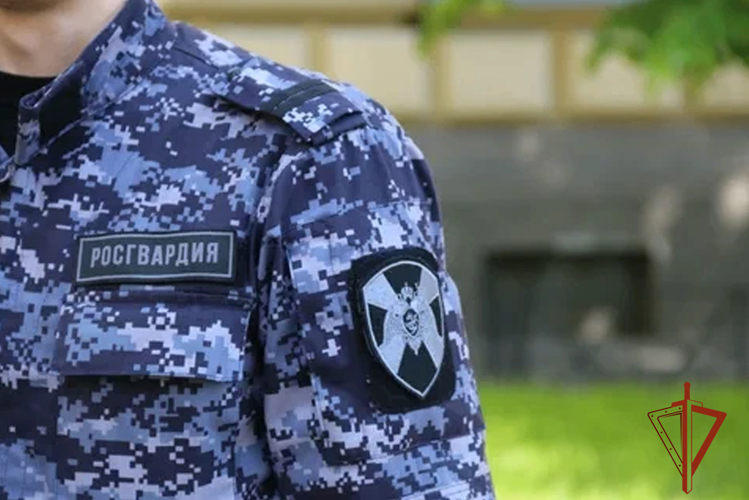 В Новокузнецке росгвардейцы задержали мужчину за хищение продуктов в охраняемом магазине (ВИДЕО)