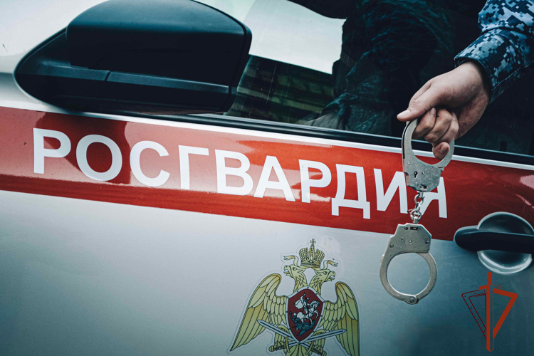Росгвардейцы задержали мужчину за хищение виски из магазина (ВИДЕО)